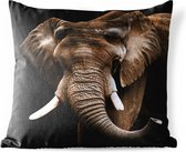 Sierkussen Buiten - Olifant - Dieren - Tanden - 60x60 cm - Weerbestendig