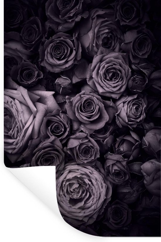 Stickers muraux - Film autocollant - Roses - Violet - Vintage - 20x30 cm - Film adhésif - Stickers muraux Chambre d'enfant - Papier peint autocollant