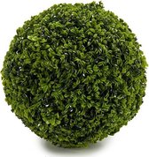 Decoratieve plant Groen Plastic (16 x 16 x 16 cm)