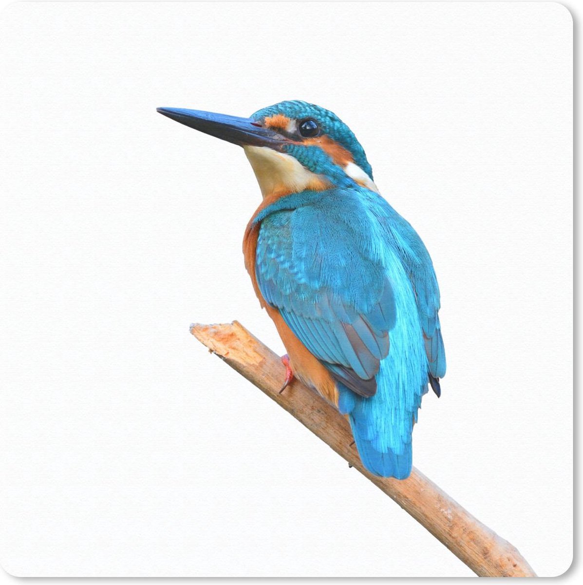 Muismat 30x30 cm - Mousepad IJsvogel - Takken - Wit - Muismatten