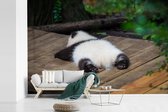 Behang - Fotobehang Panda - Dier - Brug - Breedte 390 cm x hoogte 260 cm