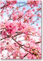 Roze Bloesem met een Blauwe Lucht - A1 Poster Staand - 59x84cm - Besteposter - Landschap - Natuur - Bloemen