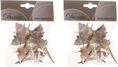 2x zakjes puntige decoratie schelpen Thorn 6 cm - Natuurlijke schelpjes in zakje - Maritiem/strand thema woondecoratie