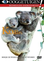 Ooggetuigen-Koala's