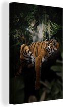 Canvas Schilderij Tijger - Jungle - Boom - 40x60 cm - Wanddecoratie