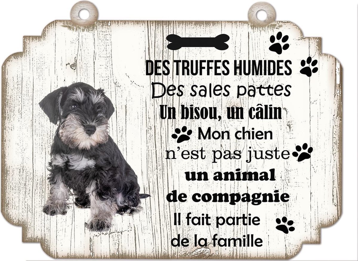Tableau Déco - Schnauzer Miniature
