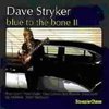 Dave Stryker - Blue To The Bone II (CD)