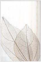 JUNIQE - Poster in kunststof lijst Skeleton Leaves -40x60 /Ivoor