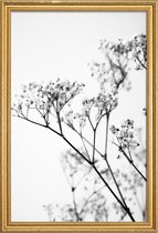 JUNIQE - Poster met houten lijst Deni's Baby Breath -20x30 /Grijs &