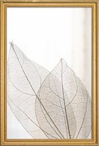 JUNIQE - Poster met houten lijst Skeleton Leaves -30x45 /Ivoor