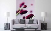 Dimex Floral Violet Vlies Fotobehang 150x250cm 2-banen