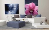 Dimex Orchid Vlies Fotobehang 150x250cm 2-banen