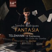 Sandro Rodrigues - 12 Fantasias F Viola Da Gamba (CD)