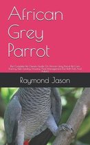 African Grey Parrot