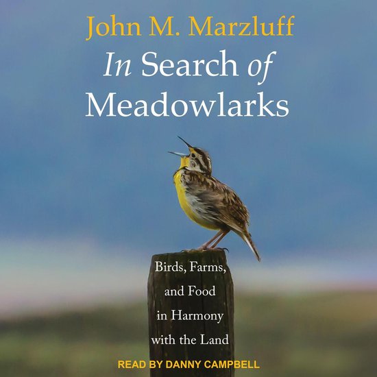 In Search of Meadowlarks - cover