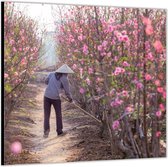 Dibond –Roze Heg– 100x100 Foto op Aluminium (Wanddecoratie van metaal)