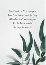 Poster A4 - leef met volle teuge olijfblad