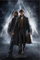 FANTASTIC BEASTS 2 - Poster 61x91 - Newt & Dumbledore