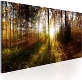 Schilderijen Op Canvas - Schilderij - Beautiful Forest 120x40 - Artgeist Schilderij