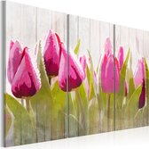 Schilderijen Op Canvas - Schilderij - Spring bouquet of tulips 90x60 - Artgeist Schilderij