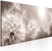 Schilderijen Op Canvas - Schilderij - Summer Dandelions 150x50 - Artgeist Schilderij