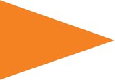 Oranje puntvlag 70x100cm