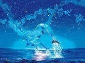 Diamond Painting Dolfijnen - #3 - 30 x 40 cm - Maak de Mooiste Schilderijen Helemaal Zelf