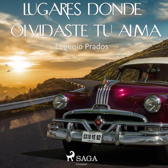 Lugares donde olvidaste tu alma - cover