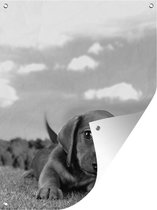 Muurdecoratie buiten Prachtige lucht boven een schattige Teckel puppy - zwart wit - 120x160 cm - Tuindoek - Buitenposter