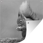 Poster Jardin Ecureuil roux - noir et blanc - 200x200 cm - Toile jardin - Poster extérieur