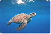 Muismat Schildpad - Schildpad in de oceaan muismat rubber - 27x18 cm - Muismat met foto