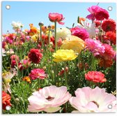 Tuinposter – Verschillende Bloemen in het Veld - 50x50cm Foto op Tuinposter  (wanddecoratie voor buiten en binnen)