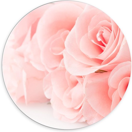 Forex Wandcirkel - Bos Pastel roze Rozen - 70x70cm Foto op Wandcirkel (met ophangsysteem)