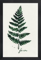 JUNIQE - Poster in houten lijst Fern -30x45 /Groen & Ivoor