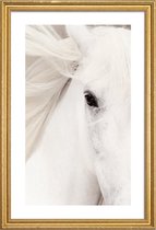 JUNIQE - Poster met houten lijst White Horse -20x30 /Grijs & Wit