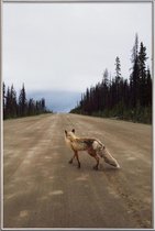 JUNIQE - Poster met kunststof lijst Road Fox -30x45 /Bruin & Groen