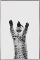 JUNIQE - Poster met kunststof lijst Meerkat II -13x18 /Grijs & Zwart