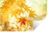 Stickers muraux - Film autocollant - Feuilles d'érable japonaises en automne - 60x40 cm - Film adhésif - Stickers muraux Chambre d'enfant - Papier peint autocollant