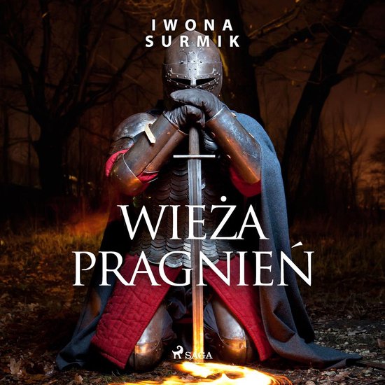 Wieża pragnień - cover