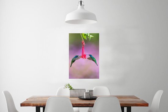 Une belle photo symétrique d'un ensemble de colibris buvant à une fleur au Costa Rica Poster 60x90 cm - Tirage photo sur Poster (décoration murale salon / chambre)