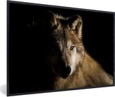 Fotolijst incl. Poster - Arctische wolf - 60x40 cm - Posterlijst