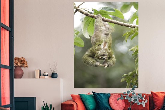 Poster Un paresseux pendu la tête en bas dans les arbres - 120x180 cm XXL