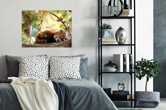 Rode panda deken met schattig dierenpatroon deken voor kinderen jongens meisjes cartoon panda bedrukte fleece dekens wildlife stijl pluche dekens kinderkamer decor pluizige deken baby 76 x 102 cm Rode panda deken met schattig dierenpatroon deken voor kinderen jongens meisjes cartoon panda bedrukte fleece dekens wildlife stijl pluche dekens kinderkamer decor pluizige deken baby 76 x 102 cm