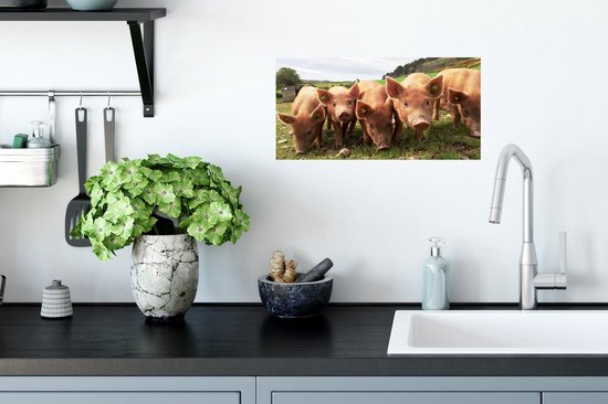 Porcelets dans une rangée de papier pour affiche