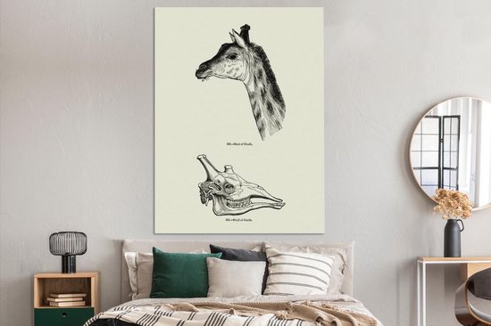 Une illustration de la tête et du crâne d'une girafe sur toile 120x160 cm - Tirage photo sur toile (Décoration murale salon / chambre) XXL / Groot format!