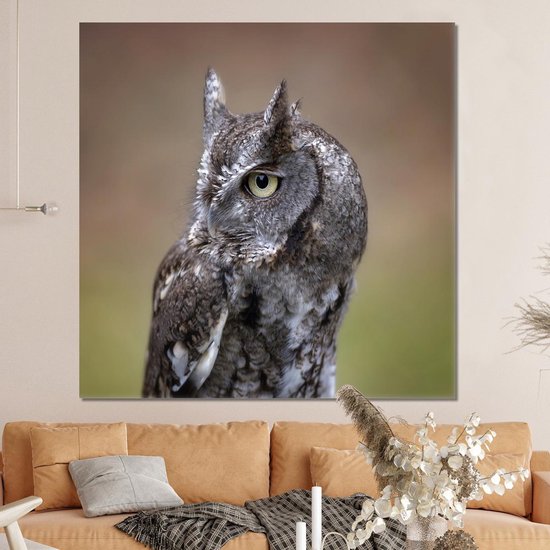 Gros plan d'un petit hibou sur toile 160x120 cm - Tirage photo sur toile (Décoration murale salon / chambre) XXL / Groot format!