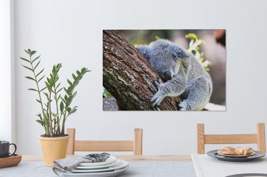Peintures sur Toile Koala - Arbre - Endormi - 90x60 cm - Décoration murale
