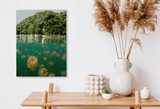 Demi-forêts photo sous-marines près du lac des méduses à Palau Toile 30x40 cm - petit - Tirage photo sur toile (décoration murale salon / chambre)
