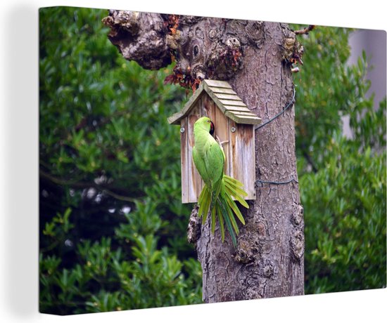 Foto: Canvas schilderij 140x90 cm wanddecoratie een halsbandparkiet bij een vogelhuisje muurdecoratie woonkamer slaapkamer decoratie kamer accessoires schilderijen