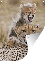 Tuin decoratie Cheeta - Welp - Gras - 30x40 cm - Tuindoek - Buitenposter